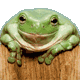 avatar_302.gif