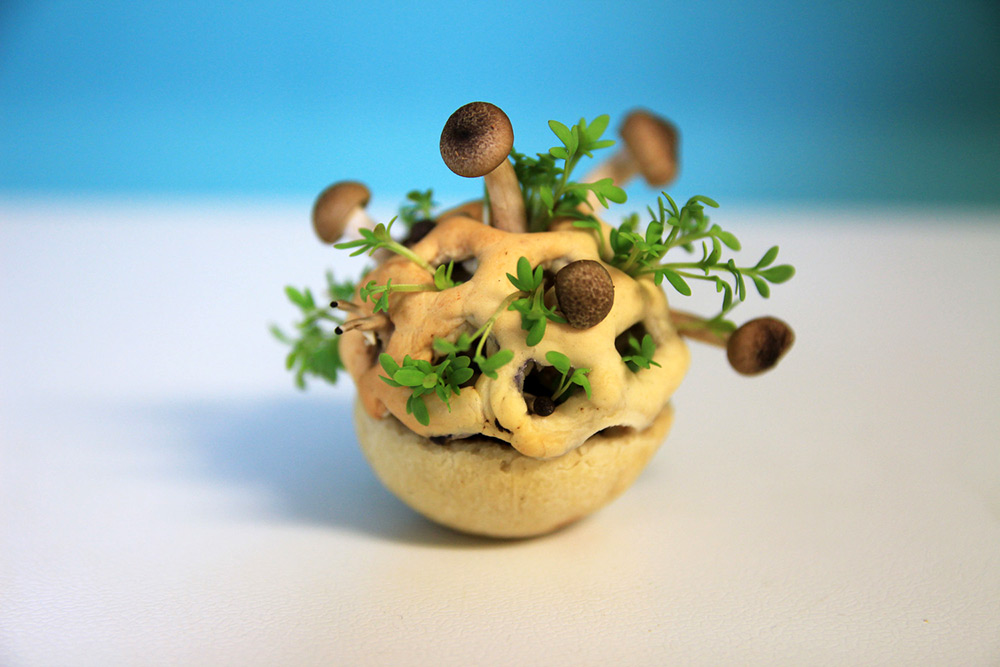 3dfood-1.jpg