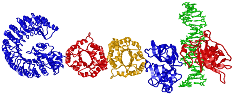 Doodle_proteins.png
