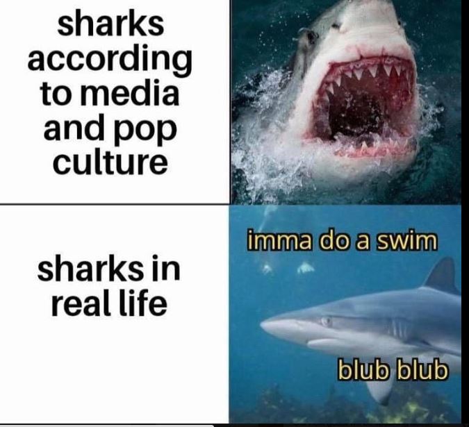 sharks.JPG