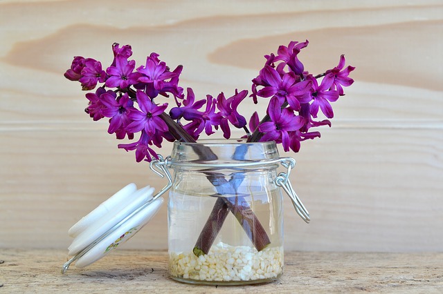 flowers-747247_640.jpg