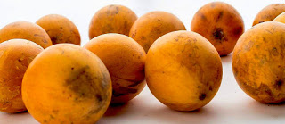 udara.jpg