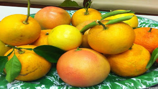 fairchild-tangerine-fruit_www.fruitsname.com_.jpg