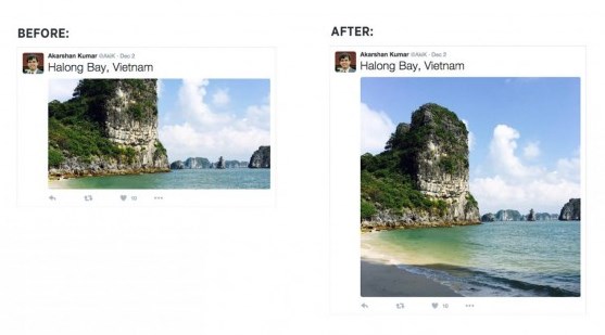 twitter pictures in timelines.jpg