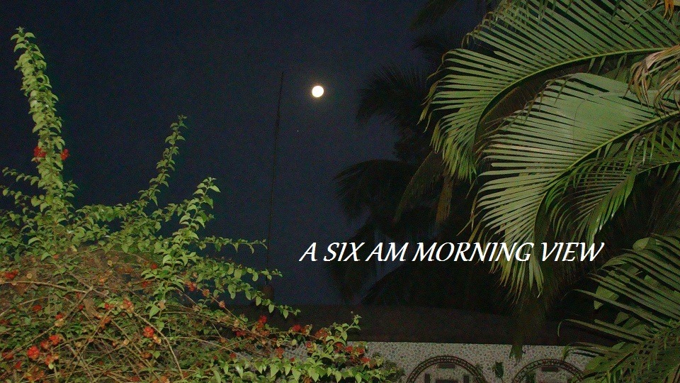 morningview.jpeg
