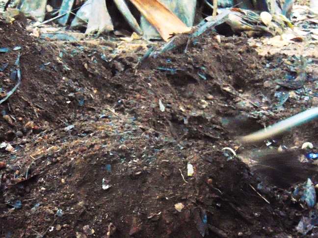 compost.jpeg
