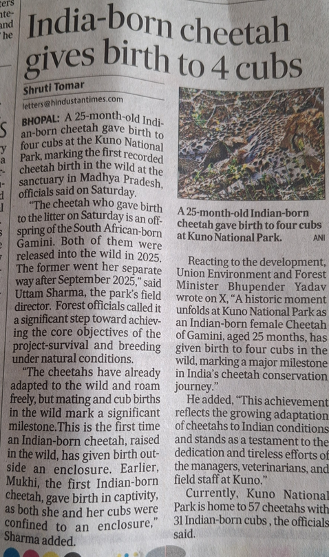 Cheetahs-India.png